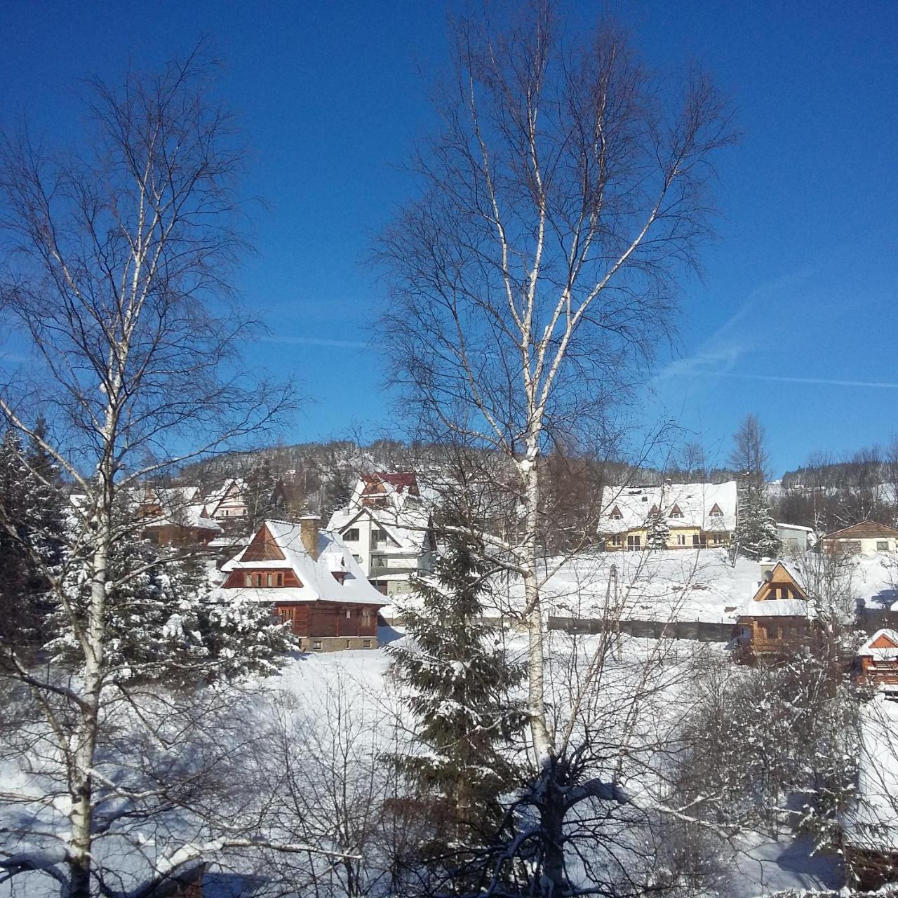 Limba 3* Kościelisko